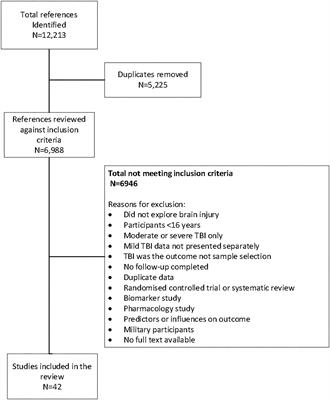 What Is the Evidence on Natural Recovery Over the Year Following Sports-Related and Non-sports-Related Mild Traumatic Brain Injury: A Scoping Review